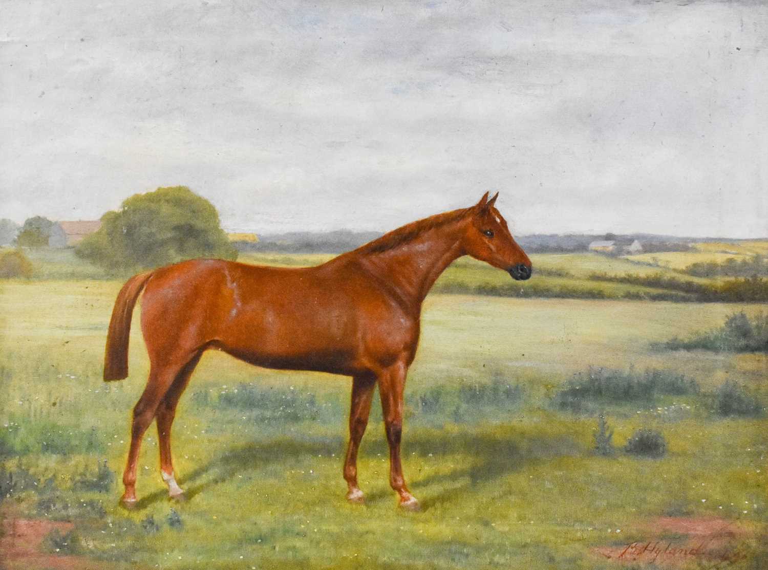 Benedict Hyland (19th/20th century)Chestnut Horse in pasture Signed and dated 1876?, oil on