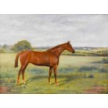 Benedict Hyland (19th/20th century)Chestnut Horse in pasture Signed and dated 1876?, oil on