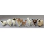 Beswick Farm Animals, including Wensleydale Sheep, model No. 4123, Cotswold Sheep, model No. 4122,