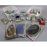 A Collection of Assorted Silver, Silver Plate and Other Items, including various condiment items,