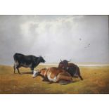 After Thomas Sidney Cooper RA (1803-1902) Cattle at rest Oil on panel, 22cm by 29.5cm