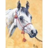Malcolm Coward HSEA (b.1948)Head study of a grey horse wearing a decorative bridleSigned, oil on