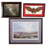 Taxidermy/Pictures: A Framed Fruit Bat, Framed Print "Afore The Butts", & Watercolour of a Barn Owl,