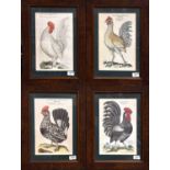 A Set of Four 20th Century German Cockerel Prints