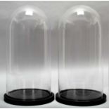 Glass Domes: A Pair of Circular Glass Domes, modern, a pair of circular glass domes upon ebonised