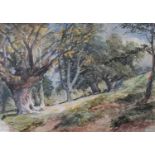 British School (20th century)Parkland with Deer, thought to be Richmond Park Watercolour, 37cm by