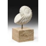 Darren Yeadon (b.1970)"Nautilus"Signed, Carrara marble, 49cm high (including base)