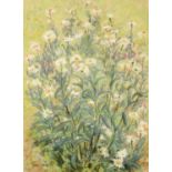 Paul Maze (1887-1979) FrenchStudy of Oxeye Daisies Signed, pastel, 74cm by 54cm Provenance: The