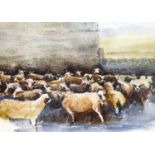 Brian Irving (1931-2013)Dales sheep gathering at a farmPencil and watercolour heightened with white,