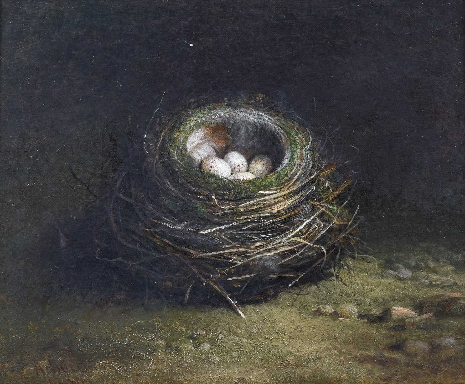 Abel Hold (1815-1896)A still life of a birds nest with green eggsA still life of a birds nest with - Image 2 of 6