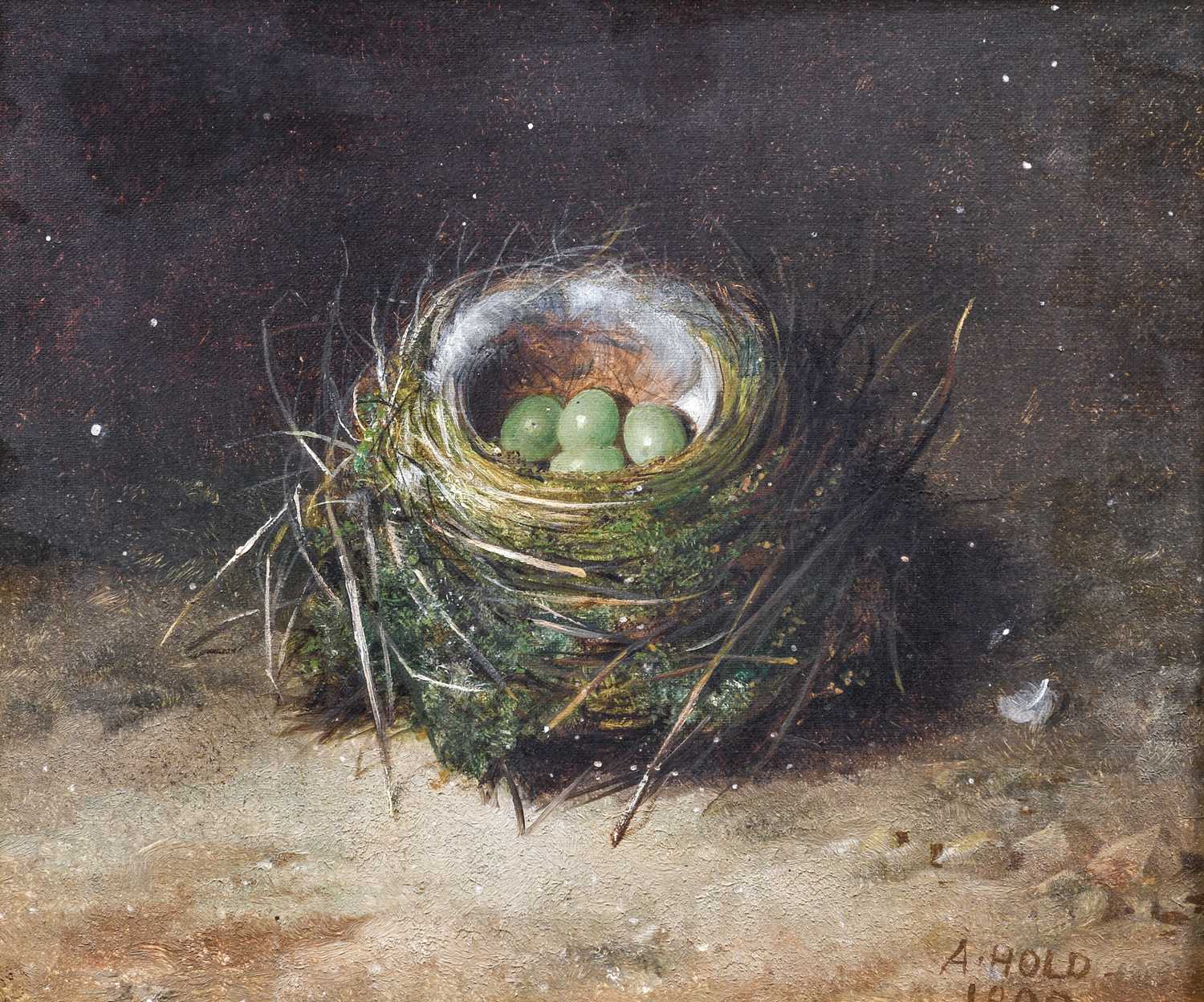Abel Hold (1815-1896)A still life of a birds nest with green eggsA still life of a birds nest with