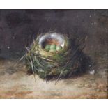 Abel Hold (1815-1896)A still life of a birds nest with green eggsA still life of a birds nest with