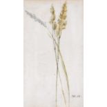 James Ward RA (1769-1859) Botanical StudySigned, watercolour, together with a pencil sketch of an