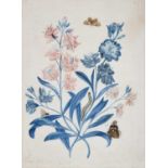 Annie North (late 18th century)Study of flowers, butterflies and caterpillarsSigned and dated