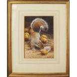 Andrew Hutchinson (b.1961)Grey Squirrel and ChesnutsSigned, gouache, 26cm by 18cm together with