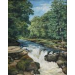 W* M* Stuart (20th Century)"The Strid, Yorkshire"Signed, inscribed and dated 1956, oil on canvas,