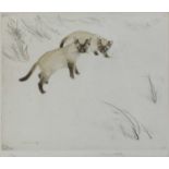 After George Vernon Stokes (1873-1954)Siamese Cats Signed and numbered 70/75 in pencil, etching,