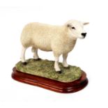 Border Fine Arts 'Texel Ram' (Style Two), model No. B0530 by Jack Crewdson, limited edition 830/