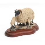Border Fine Arts 'Blackfaced Ewe and Lambs' (Style One), model No. L25 by Mairi Laing Hunt,
