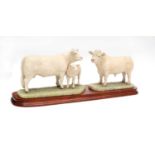 Border Fine Arts 'Charolais Bull' (Style One), model No. L112, limited edition 1209/1500, with