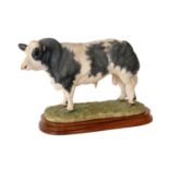 Border Fine Arts 'Belgian Blue Bull', model No. B0833 by Jack Crewdson, limited edition 430/500,