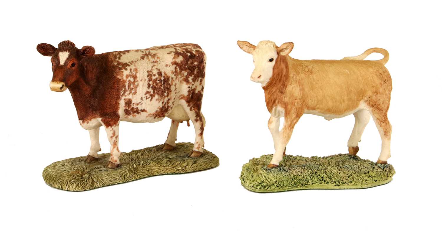 Border Fine Arts 'Simmental Calf' (Style One), model No. 103 by Ray Ayres and 'Shorthorn Cow', model