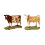 Border Fine Arts 'Simmental Calf' (Style One), model No. 103 by Ray Ayres and 'Shorthorn Cow', model