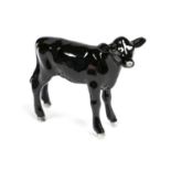 Beswick Aberdeen Angus Calf, model No. 1249F, black glossOverall good condition no obvious sign of