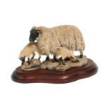 Border Fine Arts 'Blackfaced Ewe and Lambs' (Style One), model No. L25 by Mairi Laing Hunt,