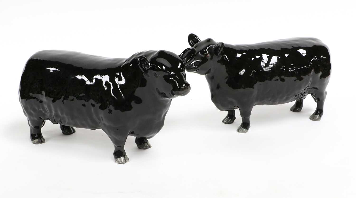 Beswick Aberdeen Angus Cattle comprising: Bull, model No. 1562, and Cow, model No. 1563, both in