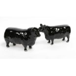 Beswick Aberdeen Angus Cattle comprising: Bull, model No. 1562, and Cow, model No. 1563, both in