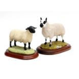 Border Fine Arts 'Suffolk Tup' (Style One), model No. B0196 by Anne Wall; together with Castle