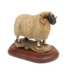 Border Fine Arts 'Blackfaced Tup' (Style One), model No. L15 by Mairi Laing Hunt, limited edition