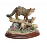 Border Fine Arts 'Highland Secret' (Scottish Wildcat), model No. B0948 by Ray Ayres, limited edition