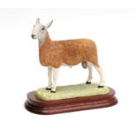 Border Fine Arts 'Blue Faced Leicester Tup' (Style One), model No. B0149 by Ray Ayres, limited