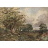 Attributed to David Cox RWS (1783-1859)Extensive landscape with sheepSigned and dated 1843,