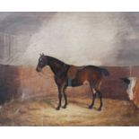 After James Clark (1858-1943)Study of a Bay Horse in a stableBears signature, oil on canvas, 48cm by