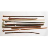 A Collection of 19th Century and Later Walking Sticks Canes and Riding Crops , one cane stamped
