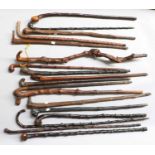 A Collection of Rustic Country Walking Sticks and Walking Canes, including rootwood and hawthorne (