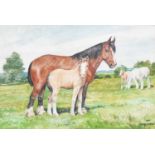 D.M & E.M Alderson (20th Century)Mare and FoalSigned and dated 1984, watercolour, together with a