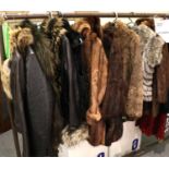 Assorted Ladies Fur and Other Coats, comprising three Musquash coat, three modern leather jackets