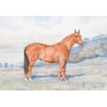 D.M & E.M Alderson (20th Century)Chestnut horse in a landscapeSigned and dated 1937, watercolour,