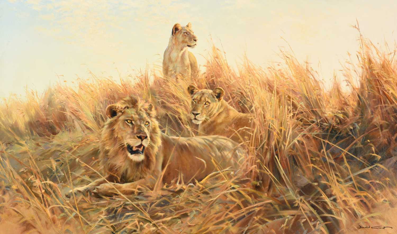 Donald Grant OBE (1924-2001) Lion and lioness in grassSigned, oil on canvas, 64cm by 124.