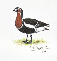 Sir Peter Markham Scott CH, CBE, DSC & Bar, FRS, FZS (1909 - 1989)"Red Breasted Goose Standing"