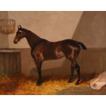 Colin Graeme Roe (1855-1910)Bay hunter in a stable Signed and dated (18)84, oil on canvas, 39.5cm by