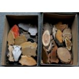 Taxidermy Shields: One Hundred Taxidermy Mounting Shields, one hundred various sized and shaped used