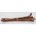 A Collection of Oriental Bamboo Walking Canes, and similar, including poachers stick with telescopic