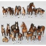 Beswick Horses and Foals, inlcuding: Welsh Cob, Hackney, Wooley Shetland Mare, 'Another Star' and