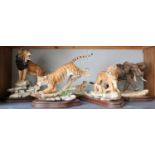 Border Fine Arts Big Cat Groups Comprising; 'African Lion', model No. L105, limited edition 116/750,