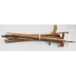 A Collection of 19th Century and Later Multi Purpose Walking Sticks and Canes, including horse